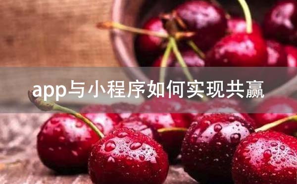 app開發(fā)與小程序開發(fā)如何實現(xiàn)共贏？