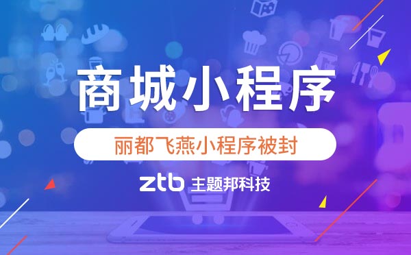 宿州微商“麗都飛燕”等10個微信小程序被封號