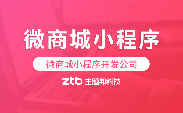 微商城小程序開(kāi)發(fā)公司-主題邦科技.png